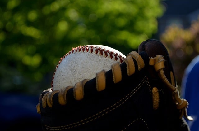 softball glove
