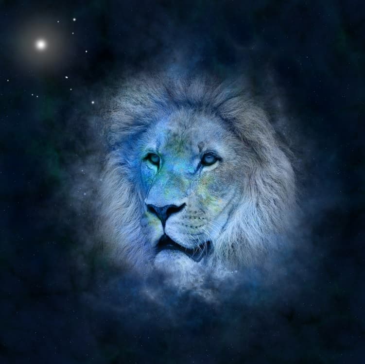 Lion and star