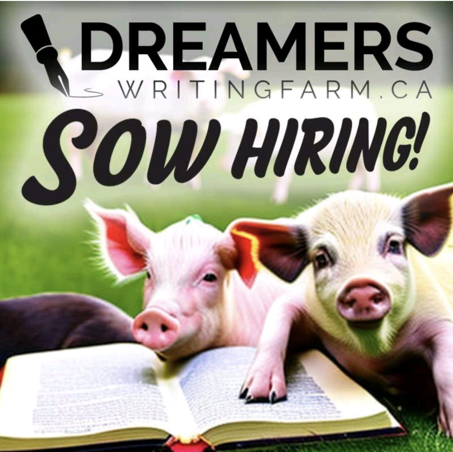 A picture of 2 pigs holding a book with "sow hiring!" written on it to show the job postings at the Dreamers Writing Farm.