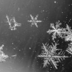 First Snow, Snowflakes