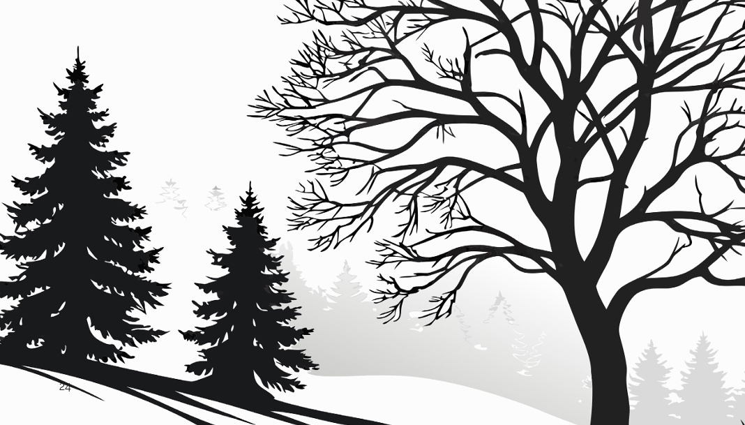 The Second Half of Winter