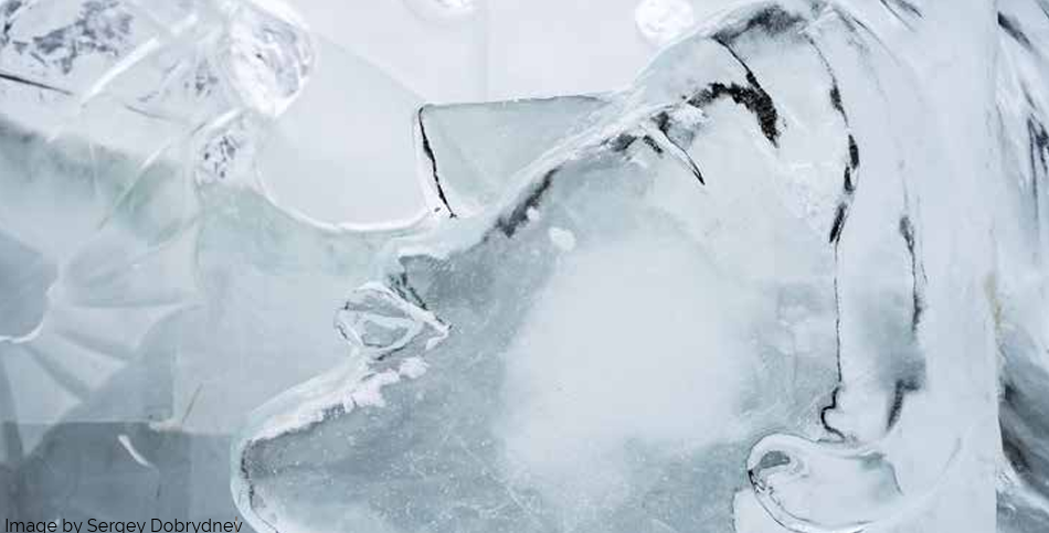 Frozen face representing the fiction story "cold comfort" by Ellen Stearns. 